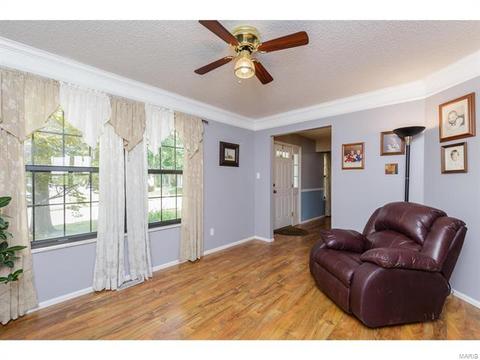 14 Doubletree Ct, Saint Charles, MO 63303 photo 8