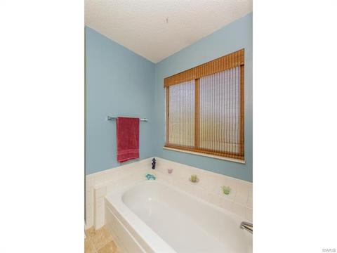 14 Doubletree Ct, Saint Charles, MO 63303 photo 27