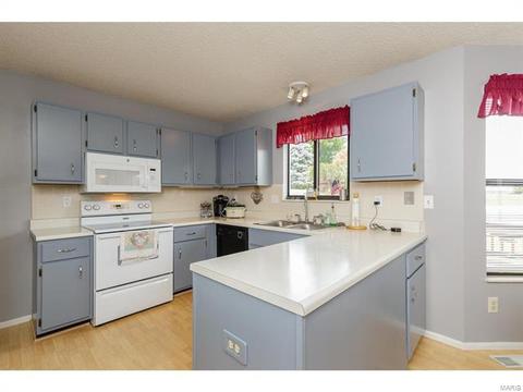14 Doubletree Ct, Saint Charles, MO 63303 photo 14