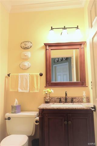 16005 Pierside, Ellisville, MO 63021 photo 15