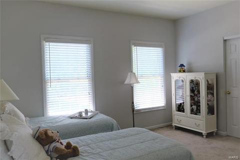 16005 Pierside, Ellisville, MO 63021 photo 20
