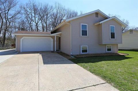 45 Chip Dr, O'fallon, MO 63366 photo 1