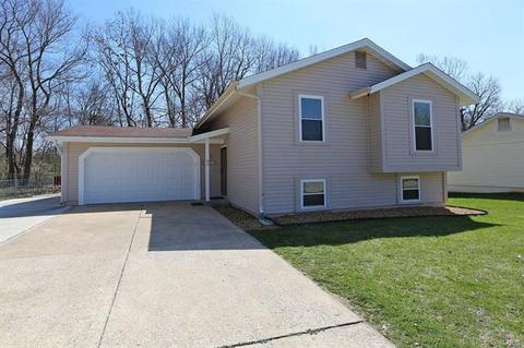 45 Chip Dr, O'fallon, MO 63366 photo 25