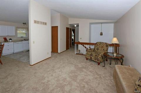 45 Chip Dr, O'fallon, MO 63366 photo 6