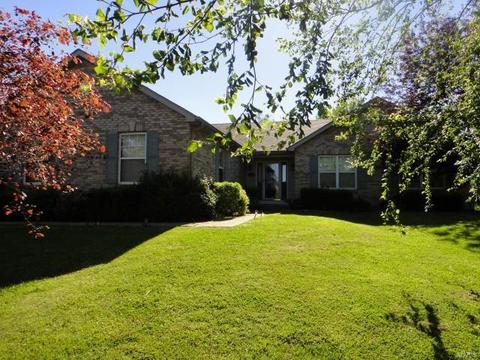 4933 Granite Dr, Smithton, IL 62285 photo 1