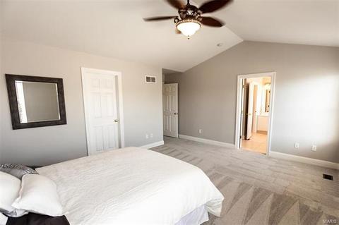 712 Rolling Wind Dr, O'fallon, MO 63368 photo 31