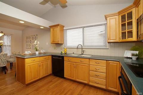 808 Surrey Meadows Ct, Ellisville, MO 63021 photo 11