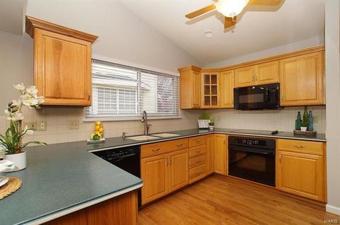 808 Surrey Meadows Ct, Ellisville, MO 63021 photo 3