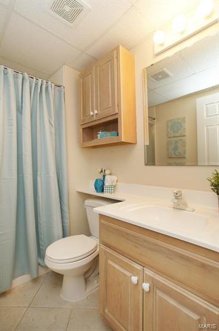 808 Surrey Meadows Ct, Ellisville, MO 63021 photo 28