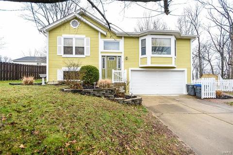 4 Windrose Ct, O'fallon, MO 63366 photo 23