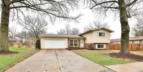 1306 Ross Ave, Saint Louis, MO 63146 photo 1