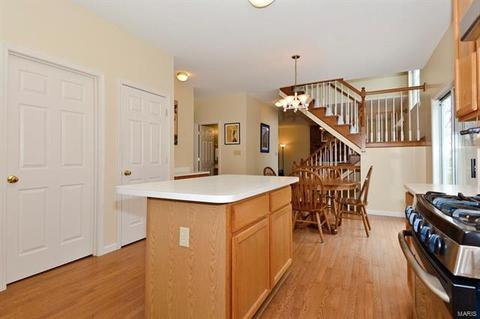1311 Oak Borough Dr, Ballwin, MO 63021 photo 18