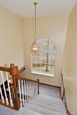 1311 Oak Borough Dr, Ballwin, MO 63021 photo 21