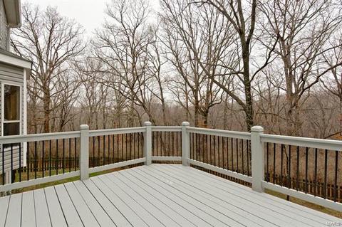 1311 Oak Borough Dr, Ballwin, MO 63021 photo 37