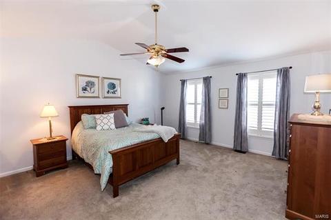 423 Castle Glen Ct, Ballwin, MO 63021 photo 22