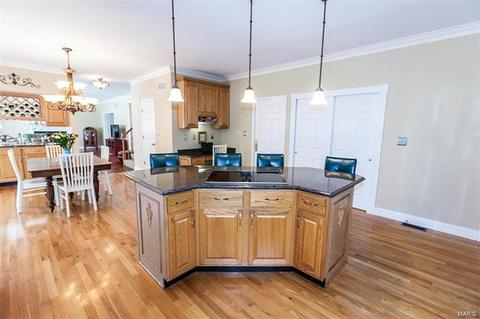 423 Castle Glen Ct, Ballwin, MO 63021 photo 20
