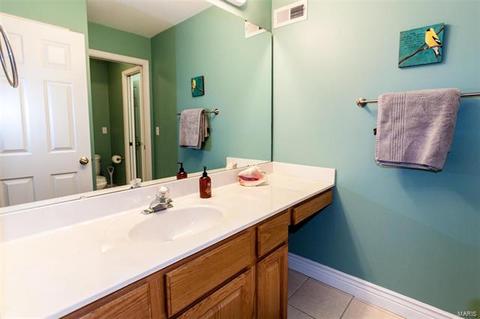 423 Castle Glen Ct, Ballwin, MO 63021 photo 28