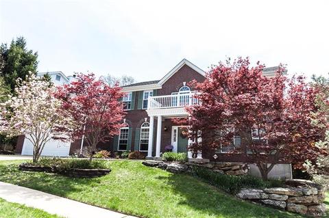 423 Castle Glen Ct, Ballwin, MO 63021 photo 2
