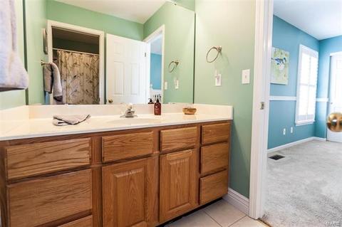423 Castle Glen Ct, Ballwin, MO 63021 photo 27