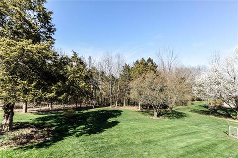 17493 Princeton Ridge Ct, Wildwood, MO 63025 photo 44