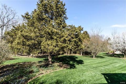 17493 Princeton Ridge Ct, Wildwood, MO 63025 photo 45