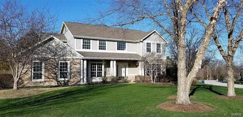 17493 Princeton Ridge Ct, Wildwood, MO 63025 photo 2