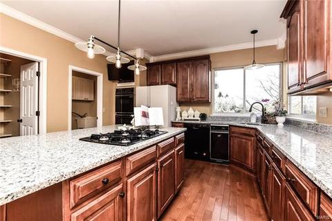 17493 Princeton Ridge Ct, Wildwood, MO 63025 photo 16