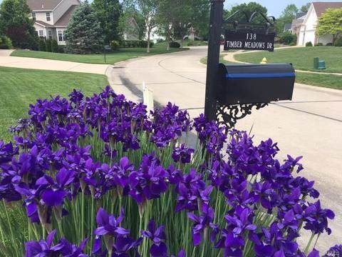 138 Timber Meadows Dr, O'fallon, MO 63368 photo 2