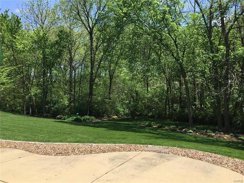 138 Timber Meadows Dr, O'fallon, MO 63368 photo 36