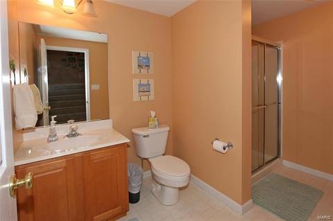 138 Timber Meadows Dr, O'fallon, MO 63368 photo 29