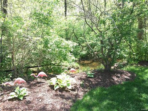 138 Timber Meadows Dr, O'fallon, MO 63368 photo 43