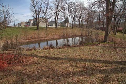 559 Guthrie Rd, O'fallon, MO 63366 photo 4