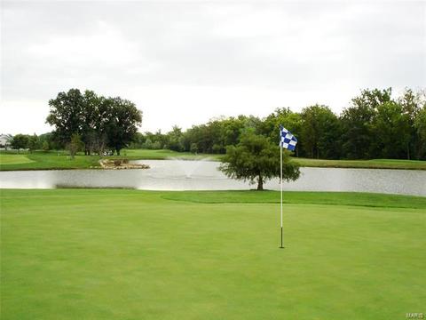 985 Midpoint Dr, O'fallon, MO 63366 photo 83