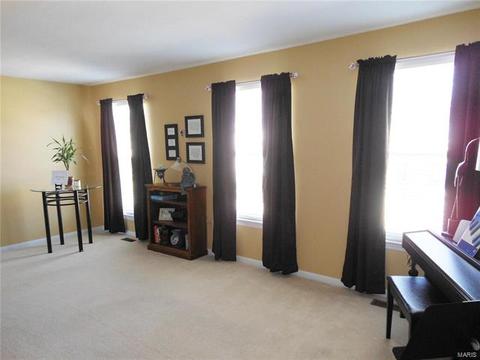 1030 Pebble Beach Dr, O'fallon, MO 63366 photo 17