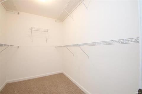 16 Tinsmith, O'fallon, MO 63366 photo 30