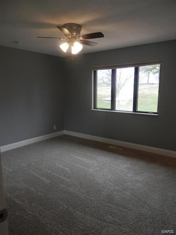 4133 Ringer, Saint Louis, MO 63129 photo 17