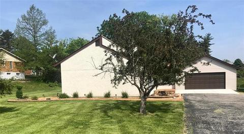 4133 Ringer, Saint Louis, MO 63129 photo 2