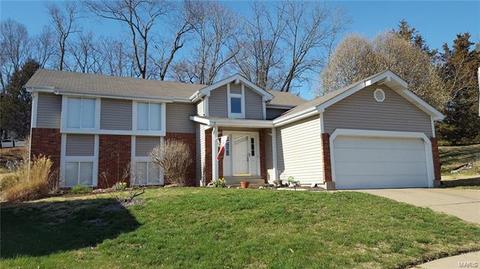 121 Caravel Ct, Ballwin, MO 63021 photo 1
