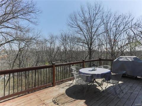 575 Oaktree Crossing Ct, Ballwin, MO 63021 photo 28