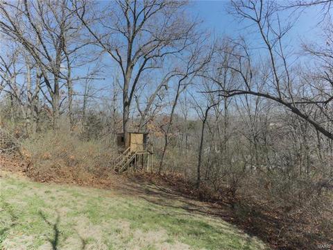 575 Oaktree Crossing Ct, Ballwin, MO 63021 photo 27
