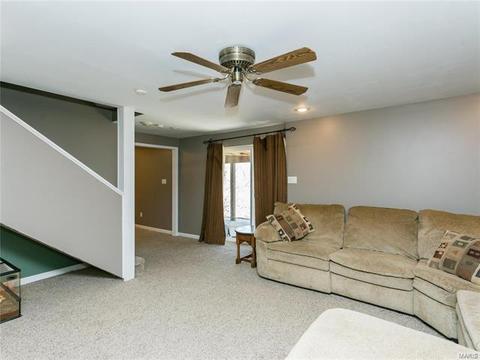 575 Oaktree Crossing Ct, Ballwin, MO 63021 photo 21