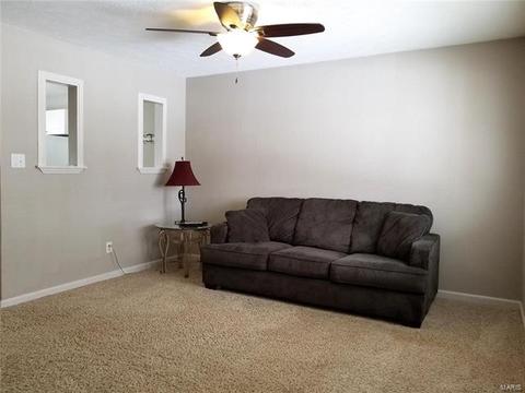 506 Eggering Dr, O'fallon, MO 63366 photo 8