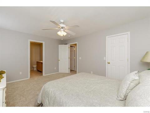 317 Hawks View Dr, O'fallon, MO 63368 photo 25