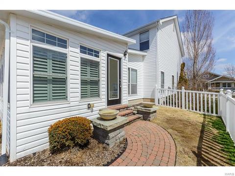 317 Hawks View Dr, O'fallon, MO 63368 photo 36