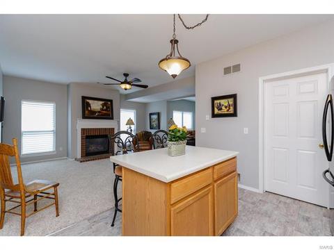 317 Hawks View Dr, O'fallon, MO 63368 photo 14