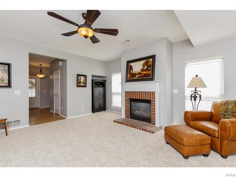 317 Hawks View Dr, O'fallon, MO 63368 photo 8