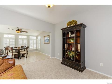 317 Hawks View Dr, O'fallon, MO 63368 photo 17