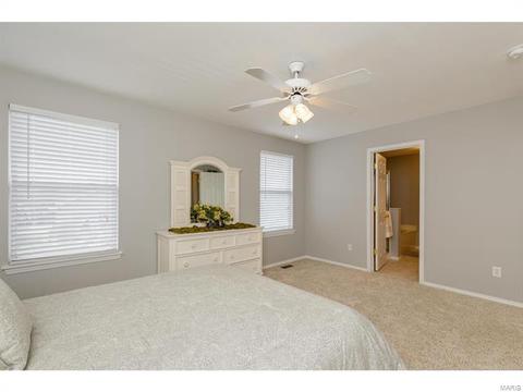 317 Hawks View Dr, O'fallon, MO 63368 photo 26
