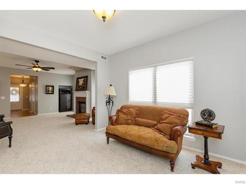 317 Hawks View Dr, O'fallon, MO 63368 photo 15