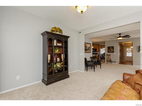 317 Hawks View Dr, O'fallon, MO 63368 photo 16